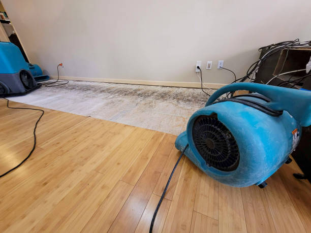 Professional Emergency Water Damage technician working in Whitinsville, MA